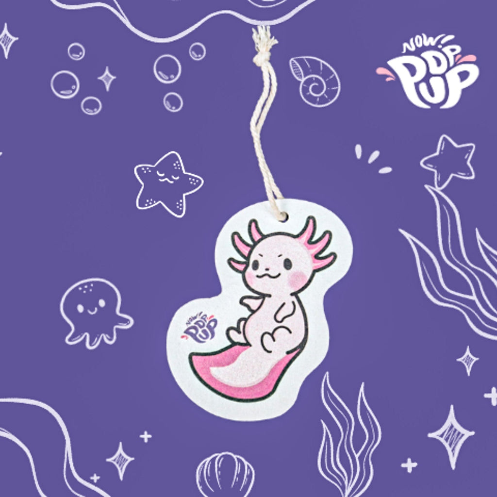 Baby Axolotl – Pop Up Sponge