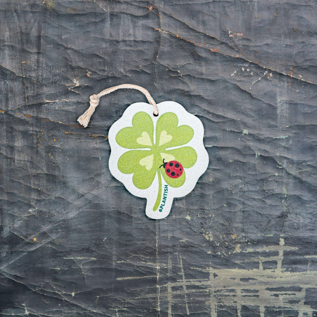 Lucky Spot - Pop Up Sponge