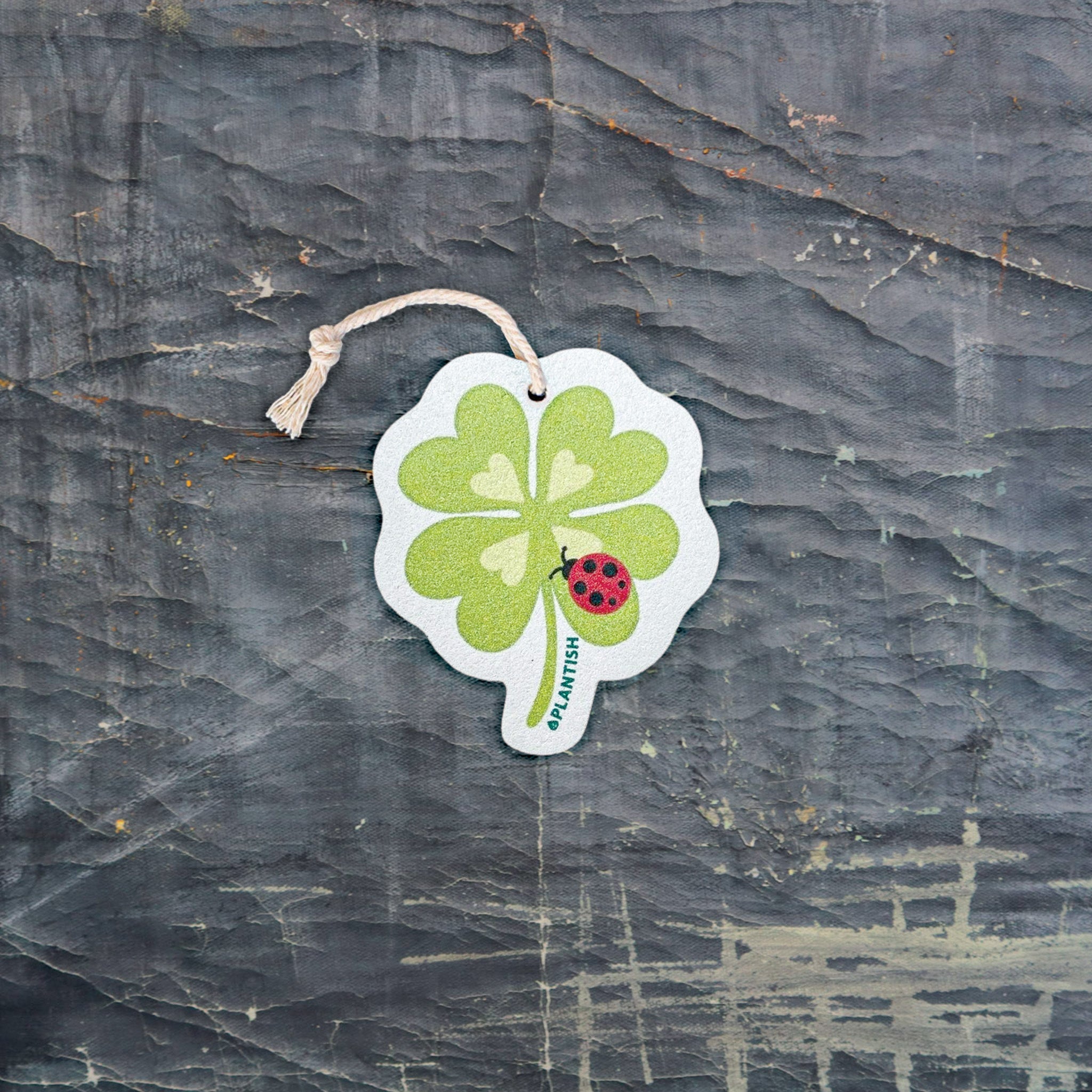 Lucky Spot - Pop Up Sponge